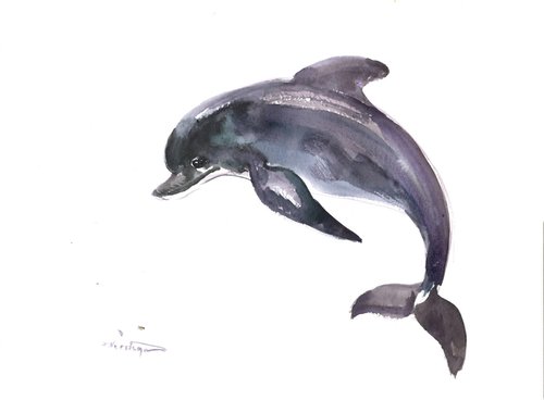 Dolphin by Suren Nersisyan