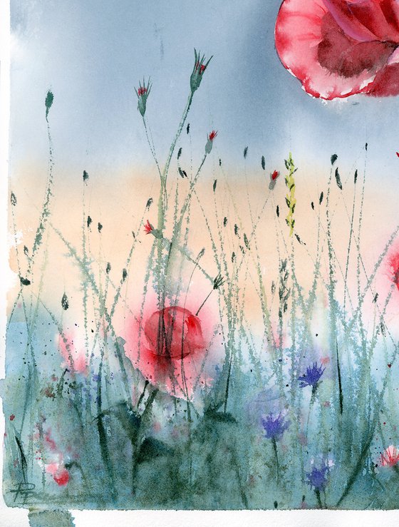 Poppies  -  Original Watercolor Painting by Olga Shefranov