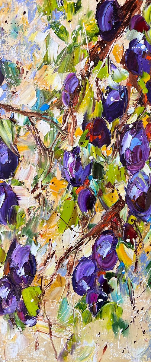 Plums by Diana Malivani
