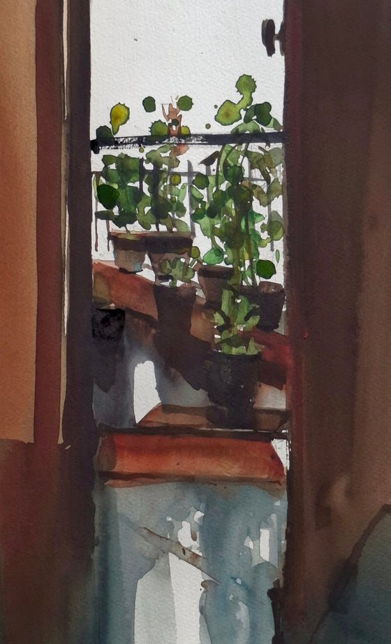 Balcony garden