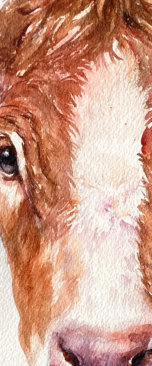 Brown Cow_ Midsummer Gaze by Arti Chauhan