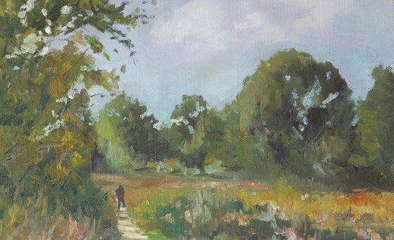 Eucalyptus near Tel Aviv