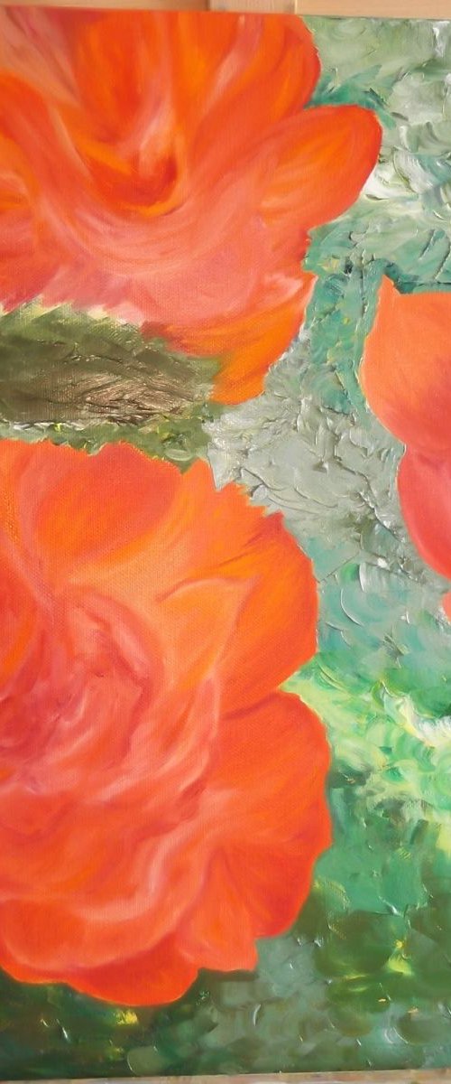 Roses by Timea  Valsami