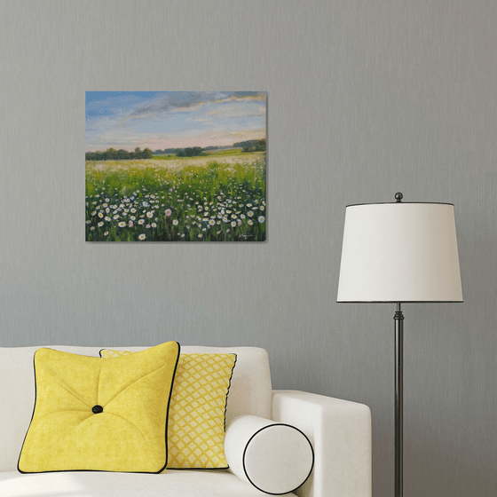 Field of daisies