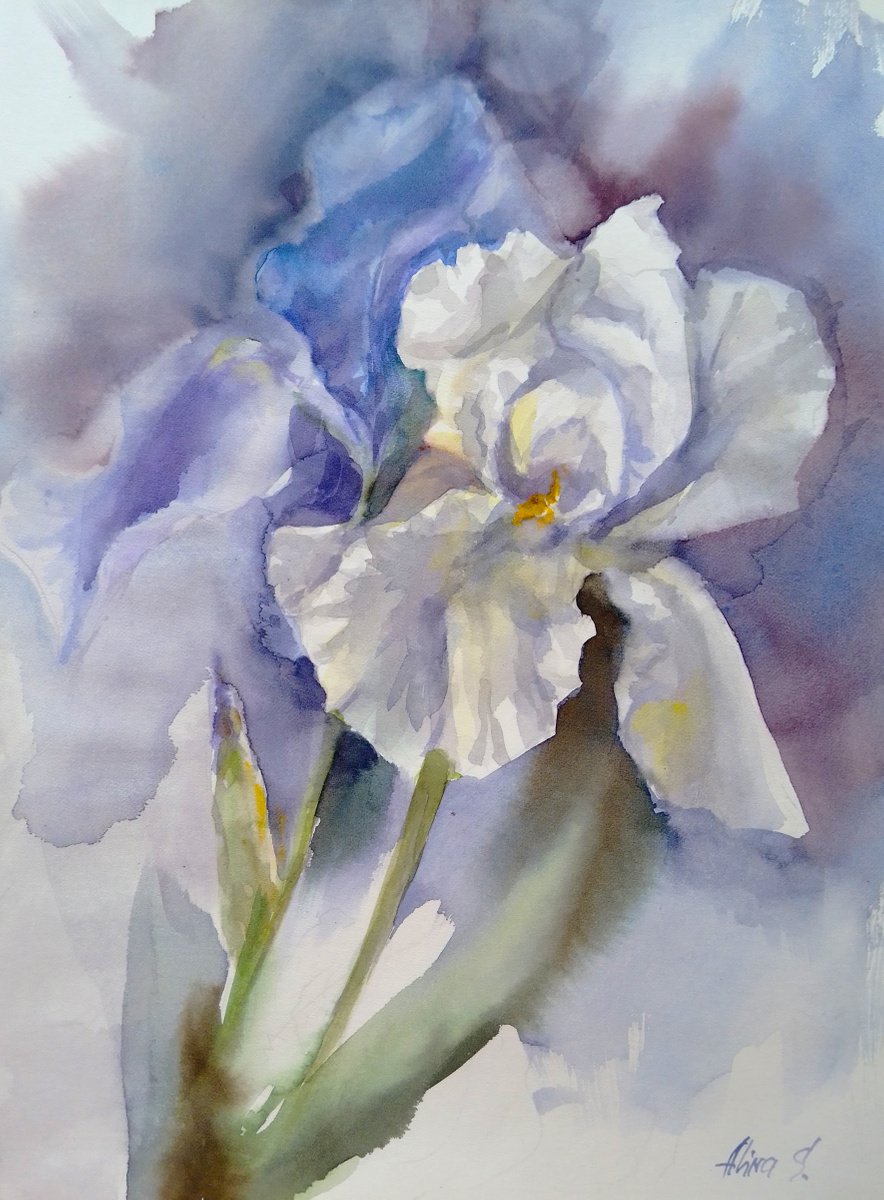 Original watercolor hand painting Irises flowers by Alina Shmygol