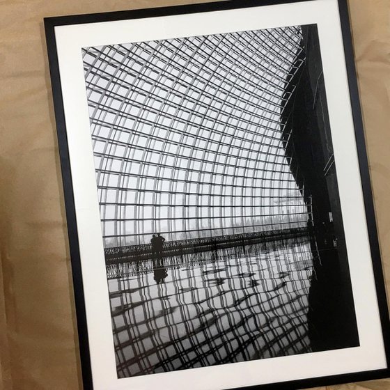 Inside the Dome (Framed)