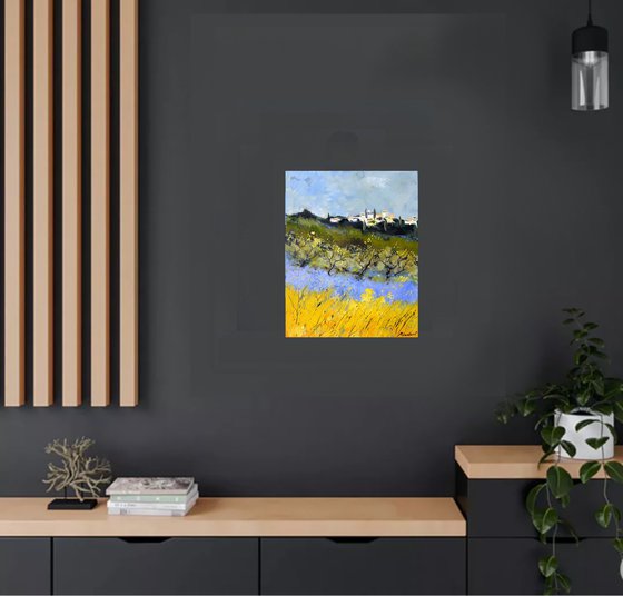 Poppies and lavender in Provence  - 4523