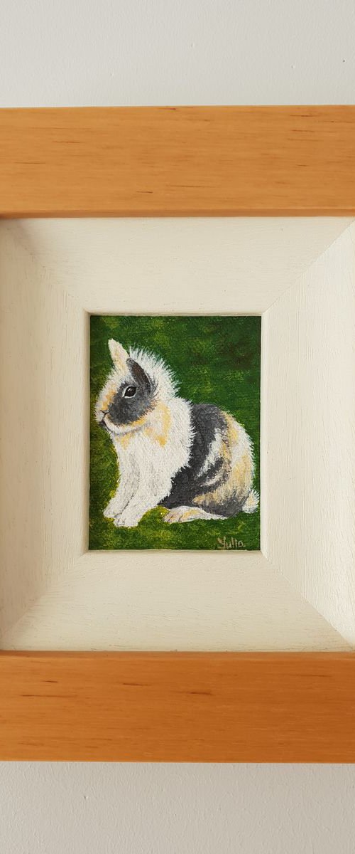 Bunny. Pet portraight by Yulia Pristupa