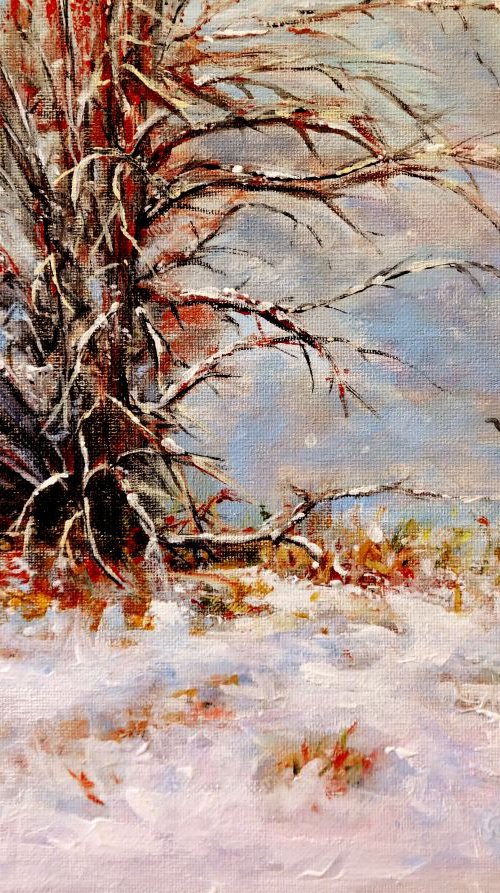 First snow.. by Cristina Mihailescu