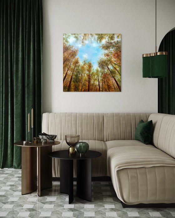 Where the Sky Begins