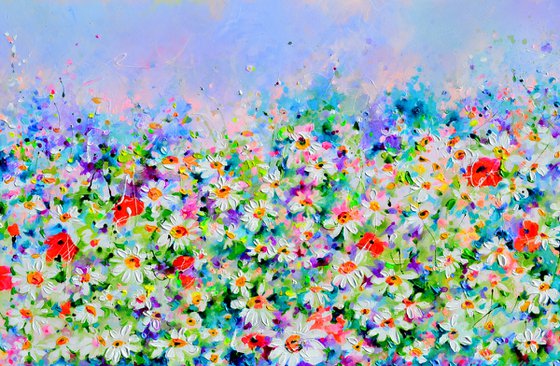 White Daisy and Red Poppy Field