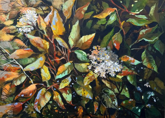 Between Summer and Fall