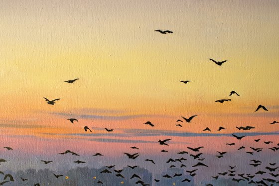 Flock at First Light