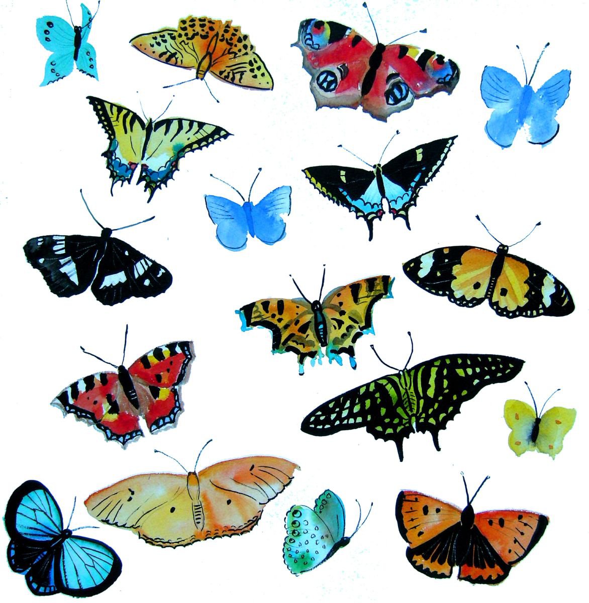 Glorious Butterflies by Mary Stubberfield