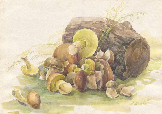 Forest mushrooms / Mushroom still life Mushroom watercolour