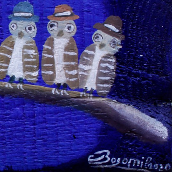 Birds’ choir
