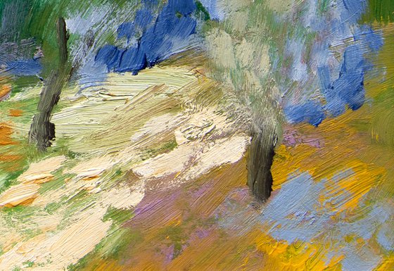 Olive Groves