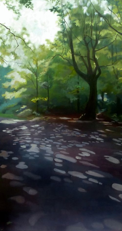 Dappled Walk by Alison  Chaplin