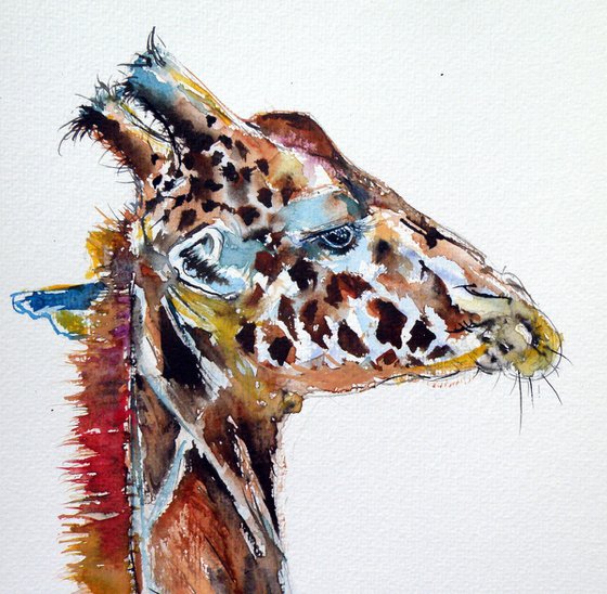 Giraffe