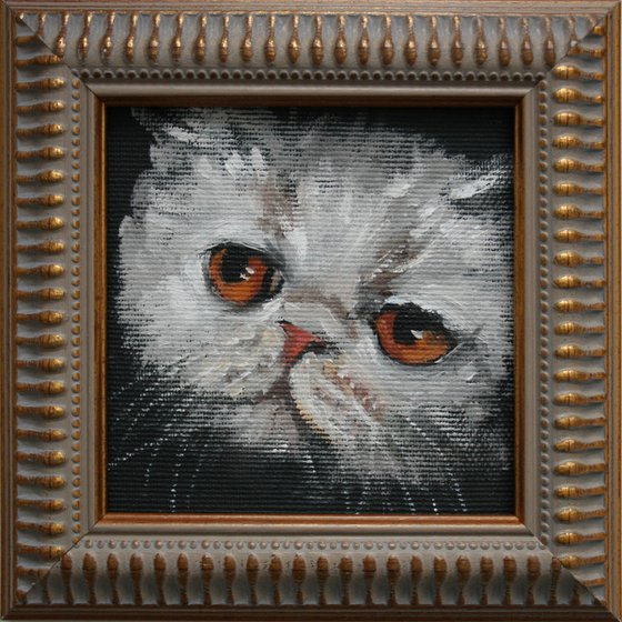 CAT VI framed / FROM MY A SERIES OF MINI WORKS CATS/ ORIGINAL OIL PAINTING