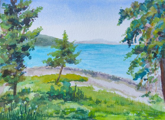 Summer landscape