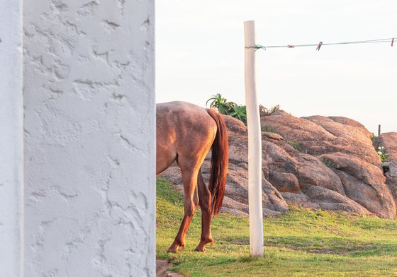 Cabo Polonio, Uruguay #1