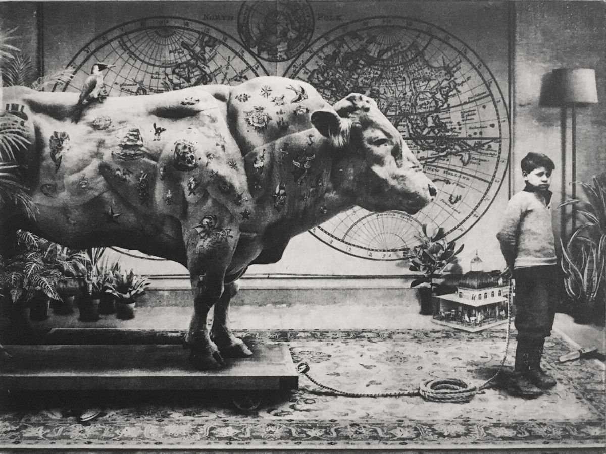 Surrealistic Animal Etchings & Engravings By Jaco Putker, 13 X 10, Interior No.64, Original Artwork