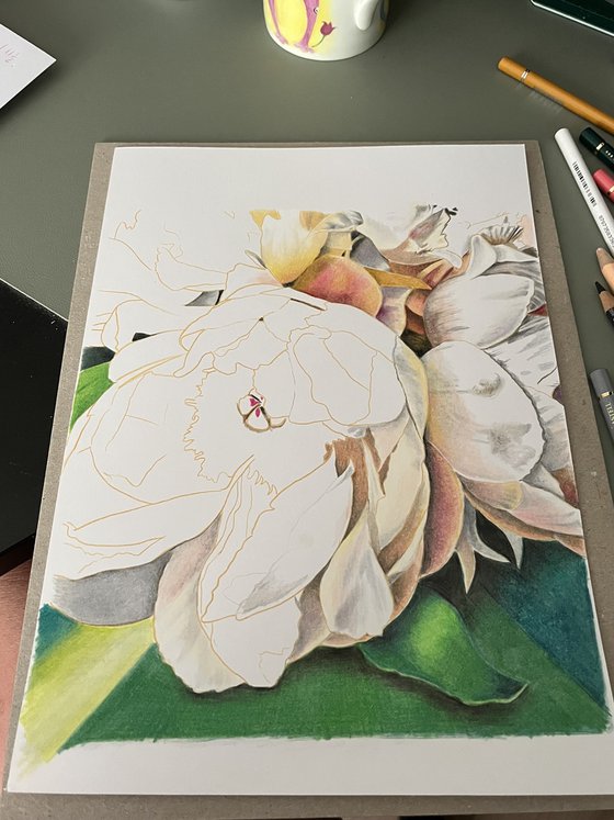 Peach Peony