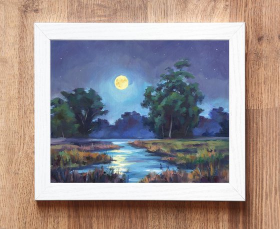 Night landscape in the swamp