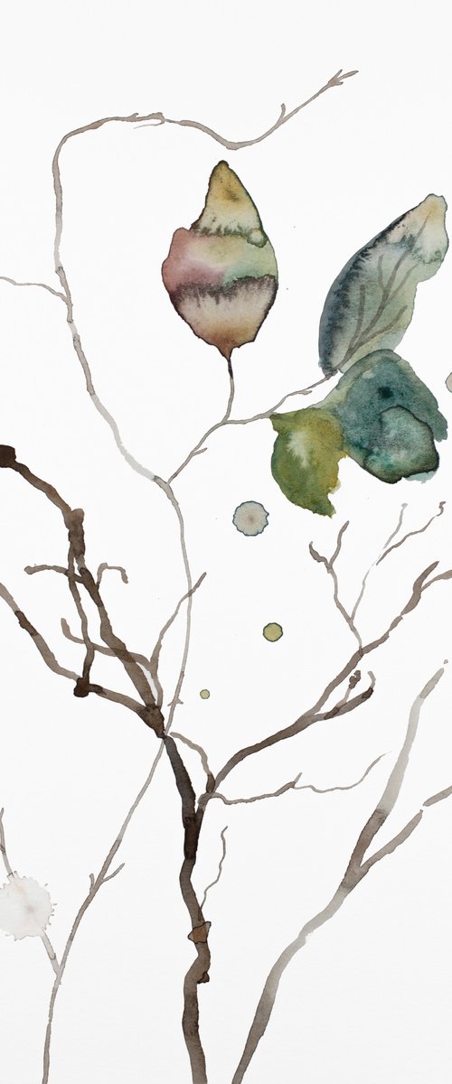 The Woods No. 141 by Elizabeth Becker