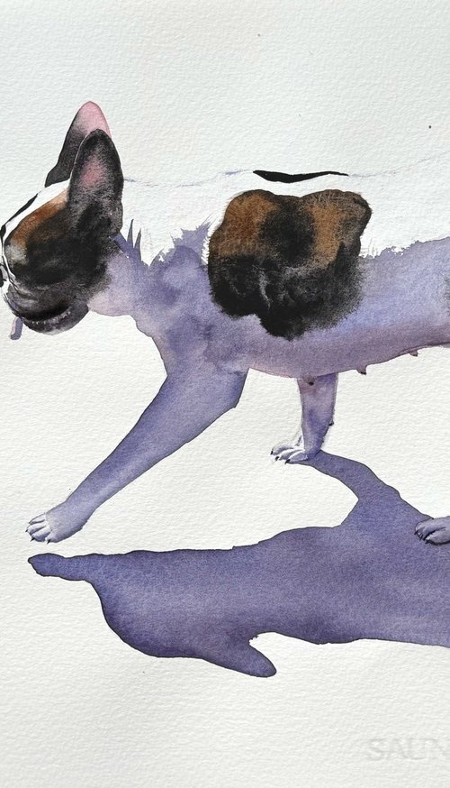 French Bulldog Black&White Dog by Yuliia Sharapova