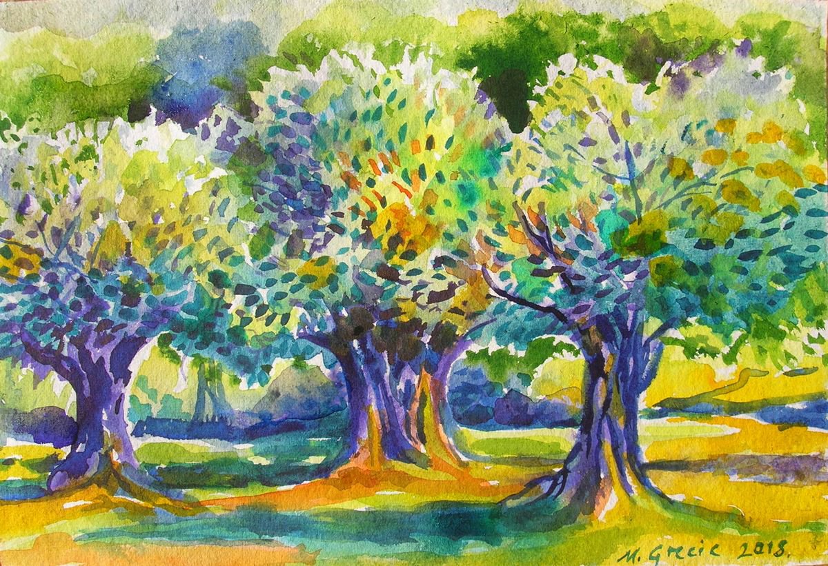 Old olive orchard XI by Maja Grecic