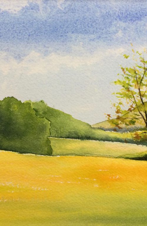 Sunny Valley by Silvie Wright