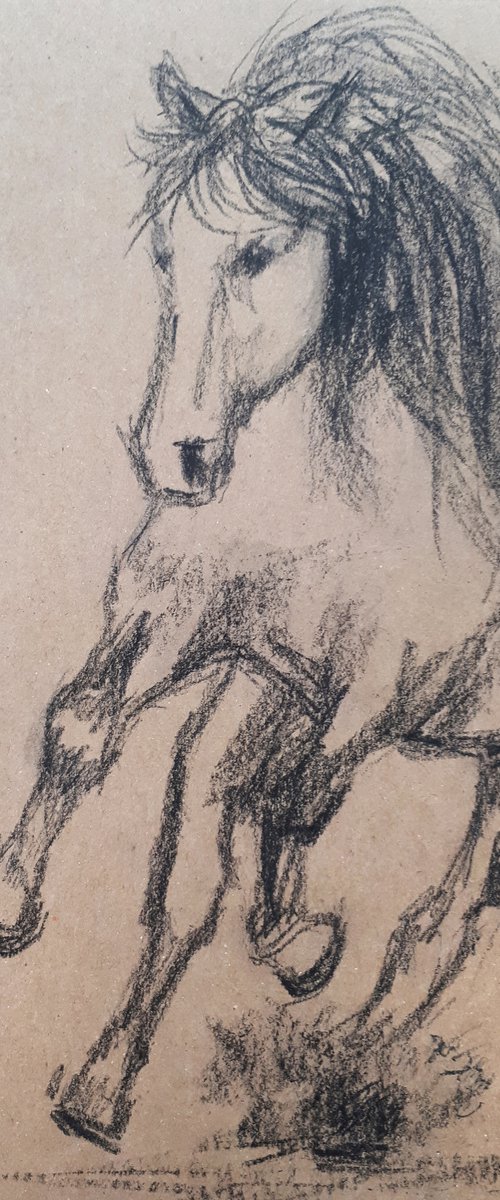 Horse 4 Sketch  /  ORIGINAL PAINTING by Salana Art Gallery