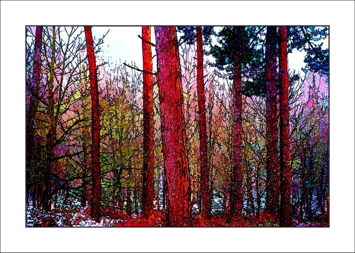 Coloured Trees by Martin Fry
