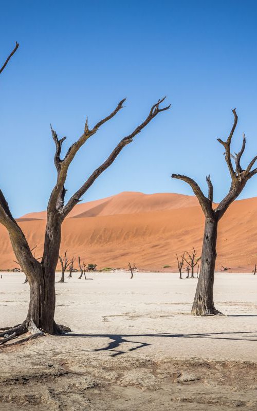 Deadvlei by Kevin Standage