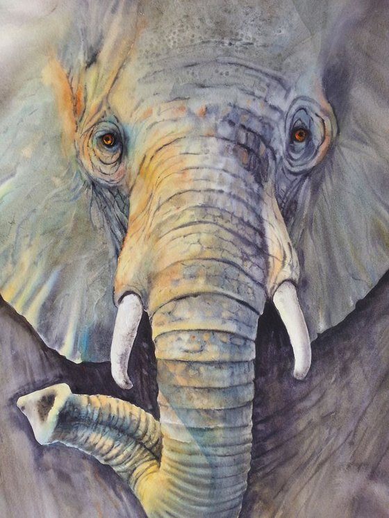 Majestic  - Elephant Painting - 19 x 25 in - Elephant face close up - African animals - watercolors wildlife paintings