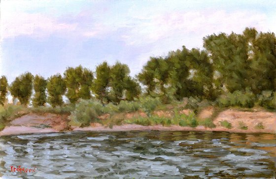 Poplars on the Coast