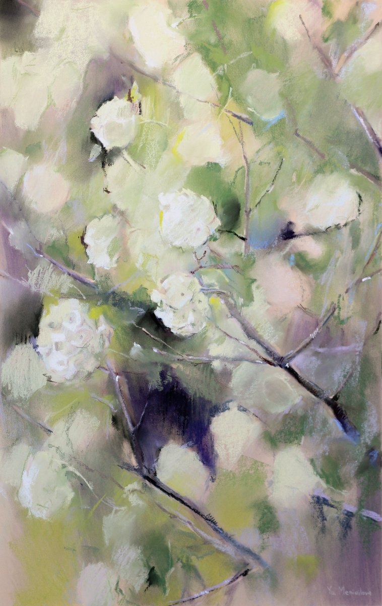 Flowering bush by Yuliia Meniailova