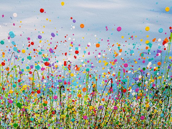 Rainbow Rhapsody Meadow