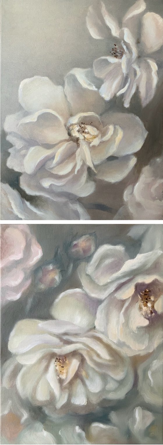 White Roses Petals diptych