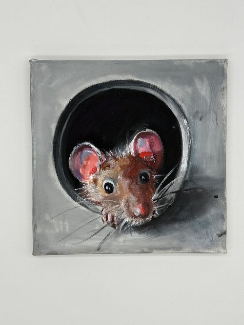 Curiosity in the Shadows: Mouse in a Pipe by VICTO
