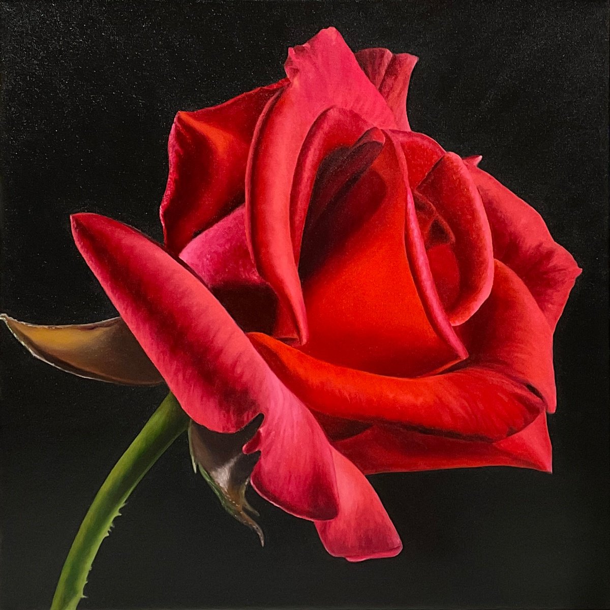 Photorealistic Botanical Oil Painting By Alla Kallass, 24 X 24, Red Rose, Original Artwork