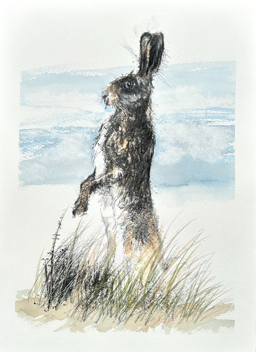 Impressionistic Animal Watercolour By Sean Briggs, 11 X 15", Brown Hare Alert, Original Artwork