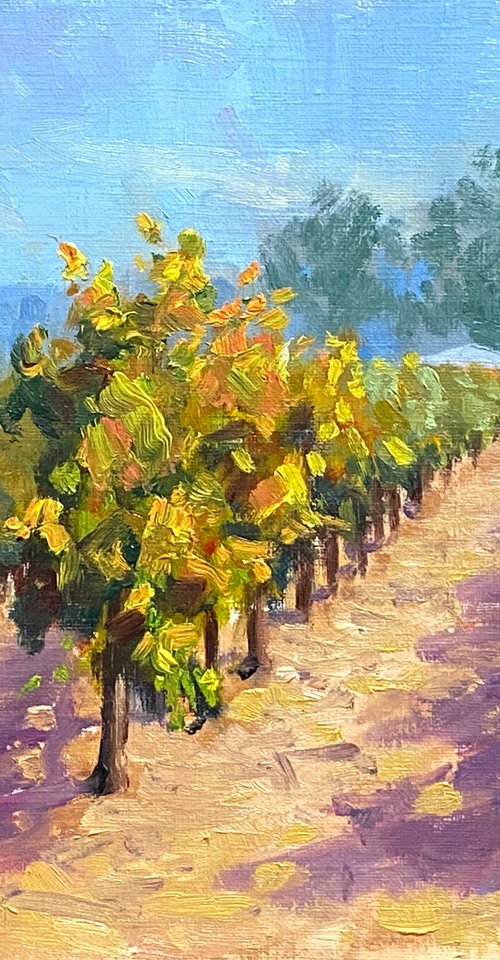 Fall Vineyards In Napa Valley by Tatyana Fogarty
