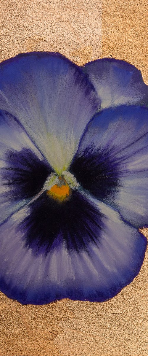 Pansy #19 by Oxana Babkina