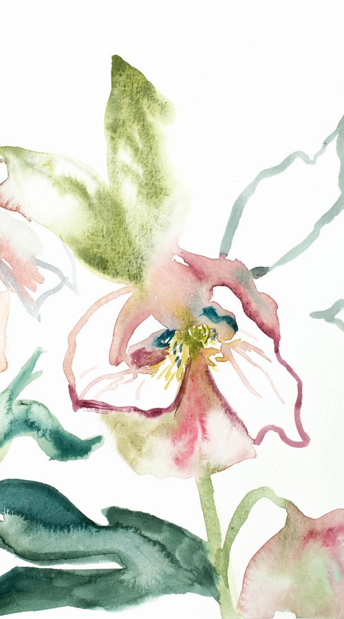 Garden Study by Elizabeth Becker