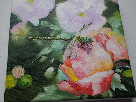 Dragonfly In A Garden Flowers