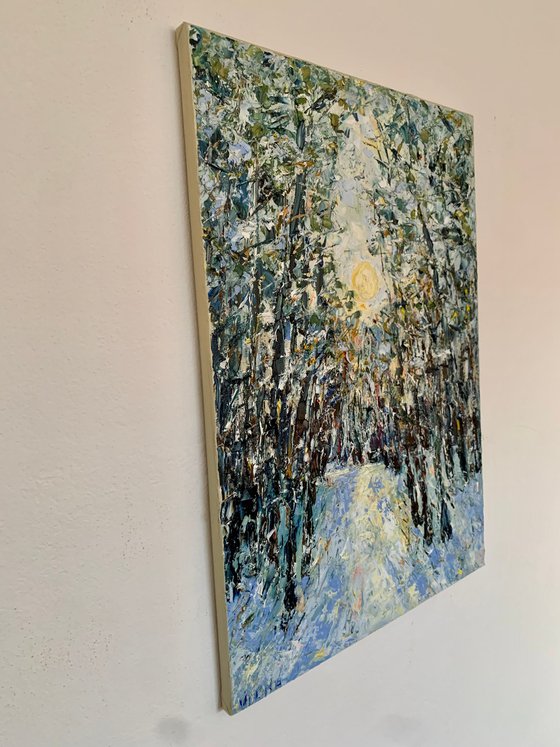 Winter forest at sunset