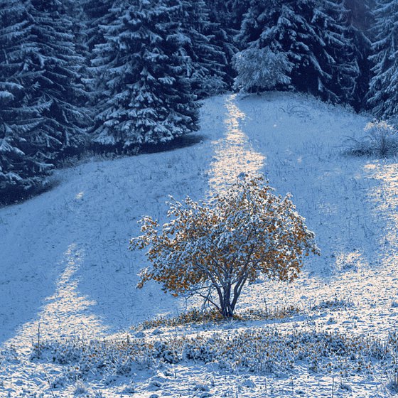 First snow in the mountains.